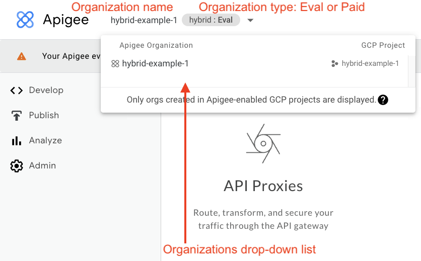 Api organizations A list of organizations that are hybrid enabled