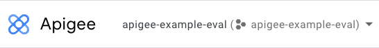 Projeto selecionado na IU do Apigee