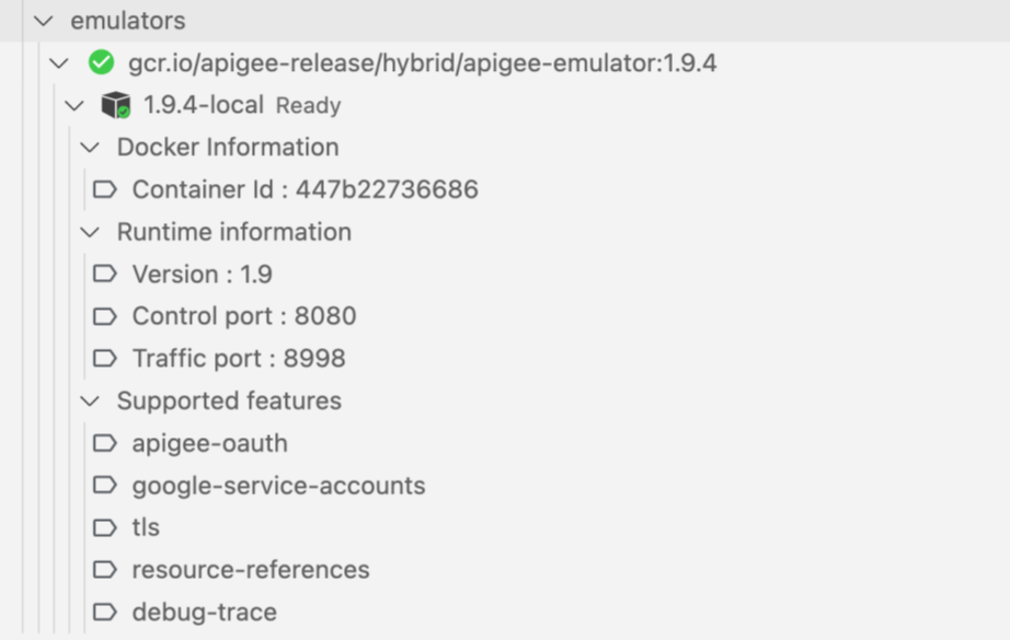 פרטי סטטוס של Apigee Emulator