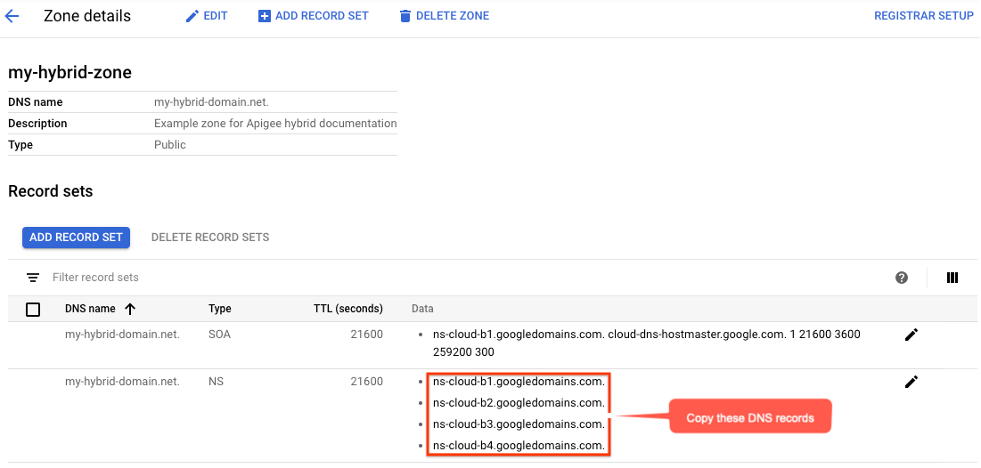 פרטי האזור, שרתי DNS מודגשים