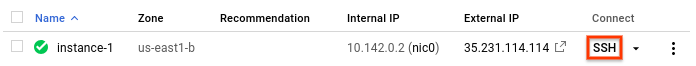 SSH-Button neben dem Instanznamen.