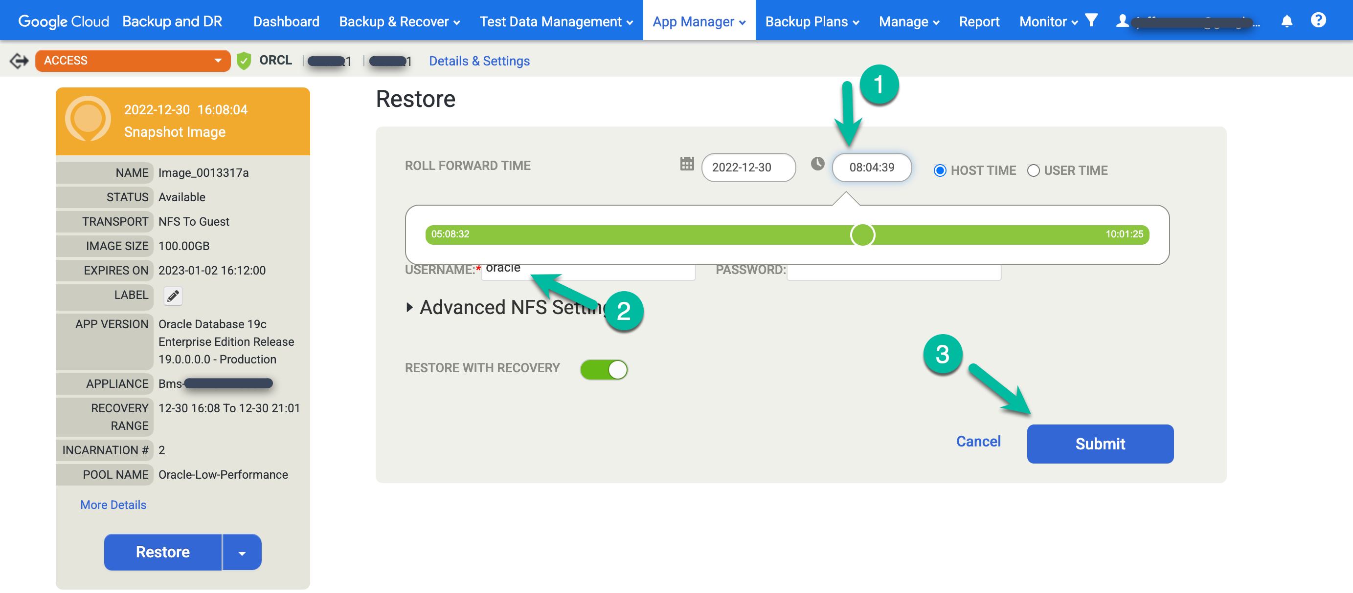 Page de la console de gestion Backup and DR montrant comment sélectionner les options de restauration.