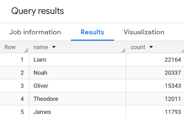 The query results panel