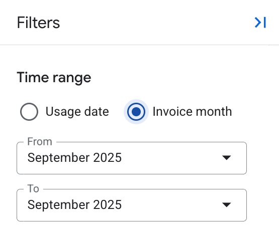Shows the report's time range setting in the filters panel, with options
     to select usage date or invoice month.