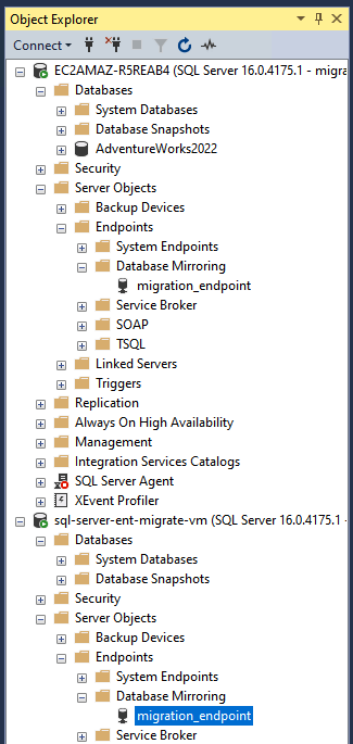 SMSS エンドポイント ビュー。