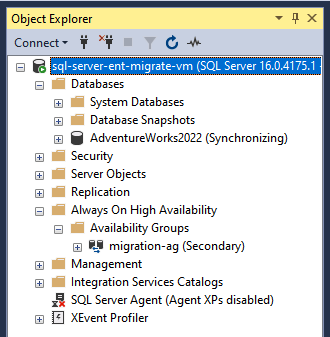 Vérifiez l'instance répliquée de base de données.