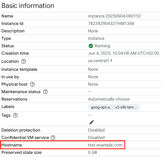 VM instances page showing the hostname.