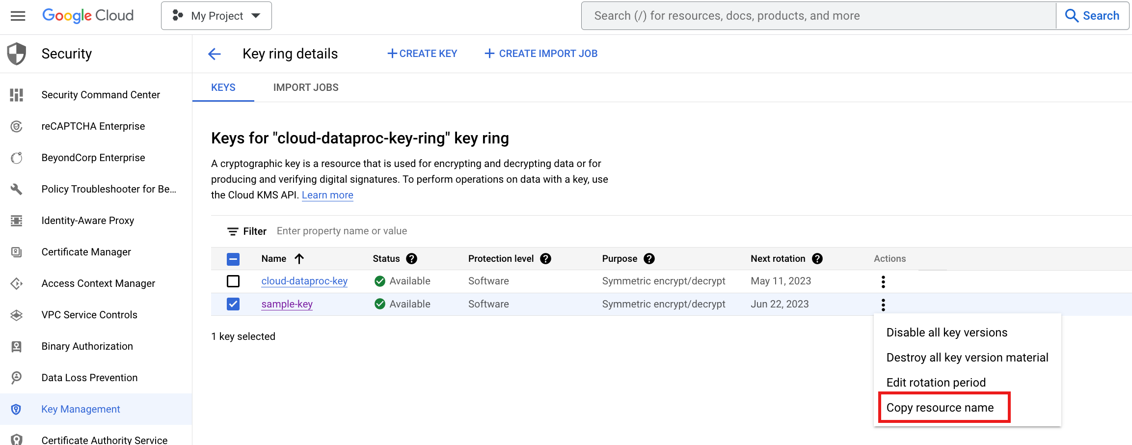 מעתיקים את שם המשאב.