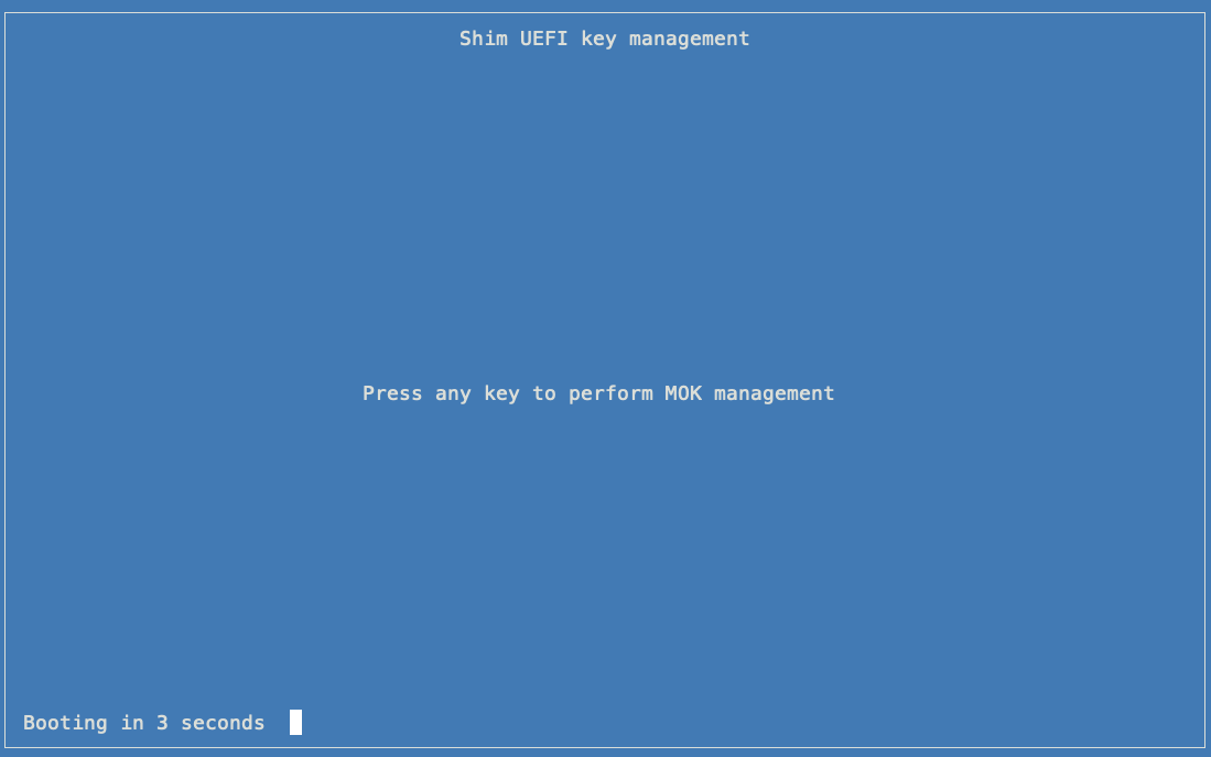 VM serial console MOK management screen
