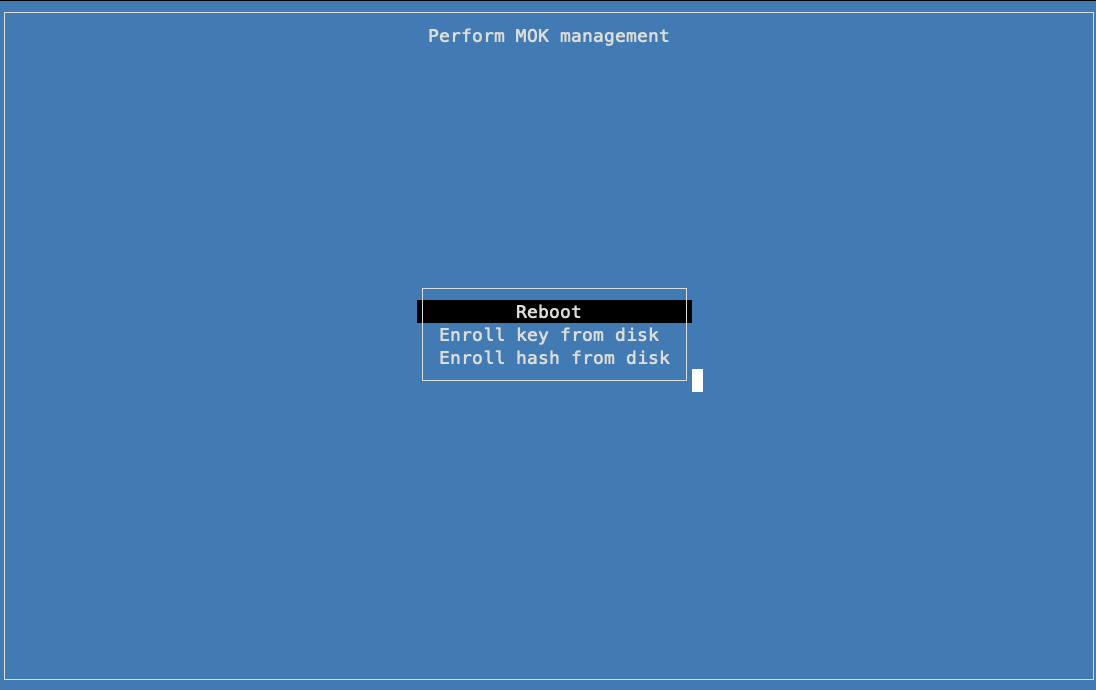 Tela de gerenciamento de MOK do console serial da VM com a opção "Reiniciar" selecionada