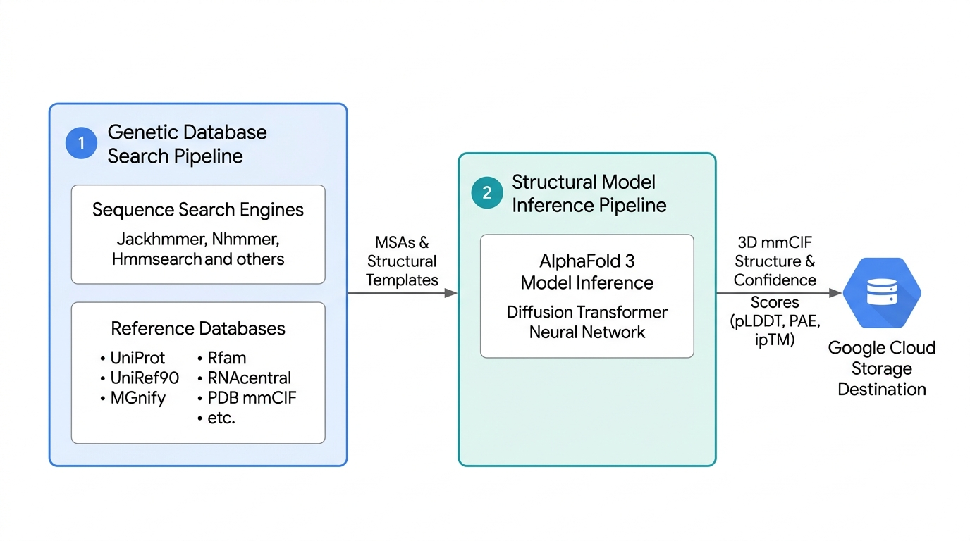 A flowchart of the AlphaFold 3 pipeline. Stage 1 (Genetic Database
Search Pipeline) uses search engines like Jackhmmer and databases like UniProt
to output MSAs and structural templates. Stage 2 (Structural Model Inference
Pipeline) processes these inputs using the AlphaFold 3 Diffusion
Transformer Neural Network. The resulting 3D mmCIF structures and confidence
scores (pLDDT, PAE, ipTM) are saved to
Cloud Storage.