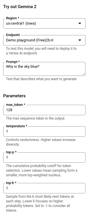 Gemma 2b-it의 사용해 보기 패널