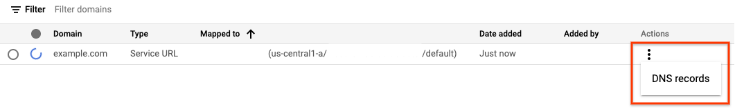 בוחרים באפשרות DNS records (רשומות DNS)