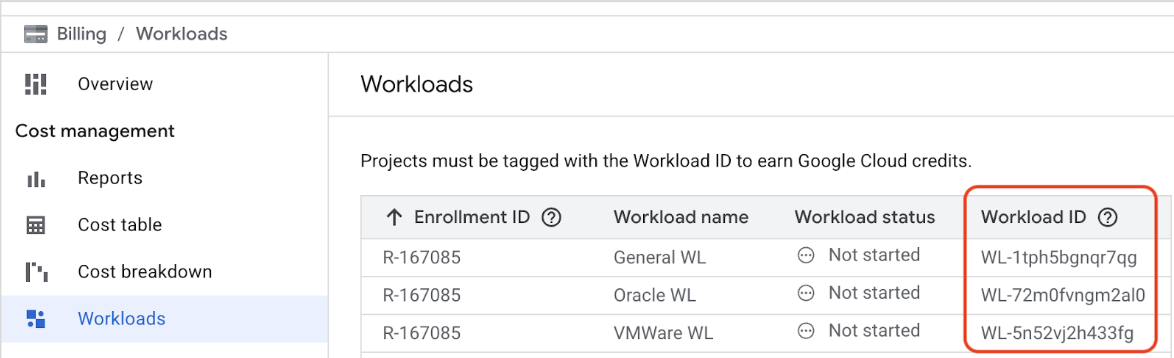 Esempio della pagina Workload in Fatturazione Cloud.