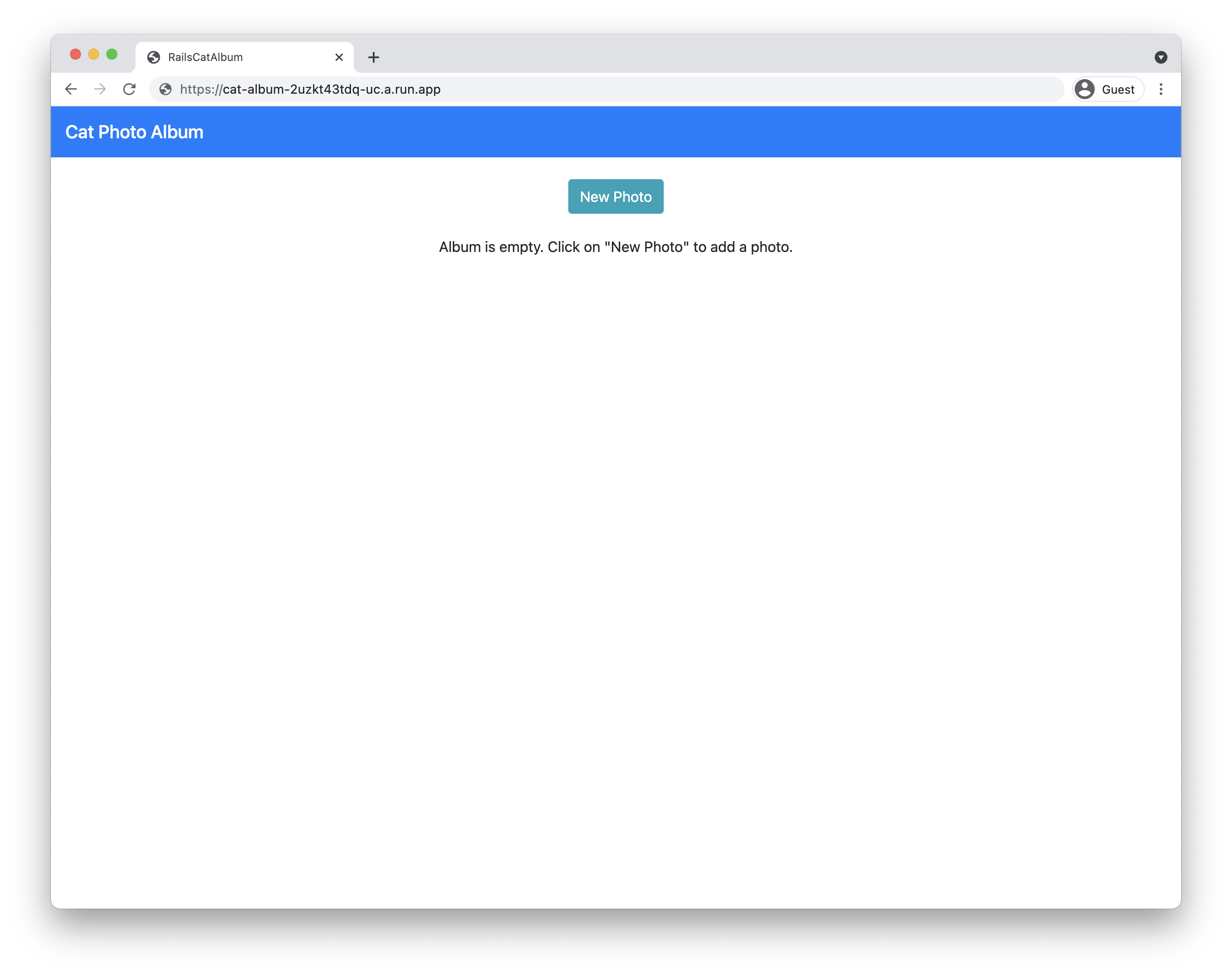 Página de destino do álbum de gatos.