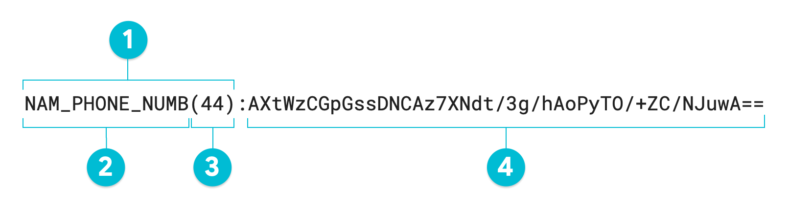 Diagrama anotado de um valor tokenizado através da encriptação determinística usando o método de transformação AES-SIV.
