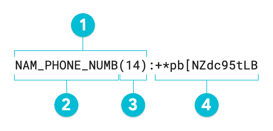 Diagram beranotasi dari nilai yang ditokenisasi menggunakan metode transformasi
enkripsi yang mempertahankan format.