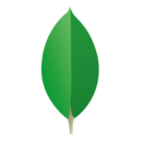 עיון במסמך MongoDB