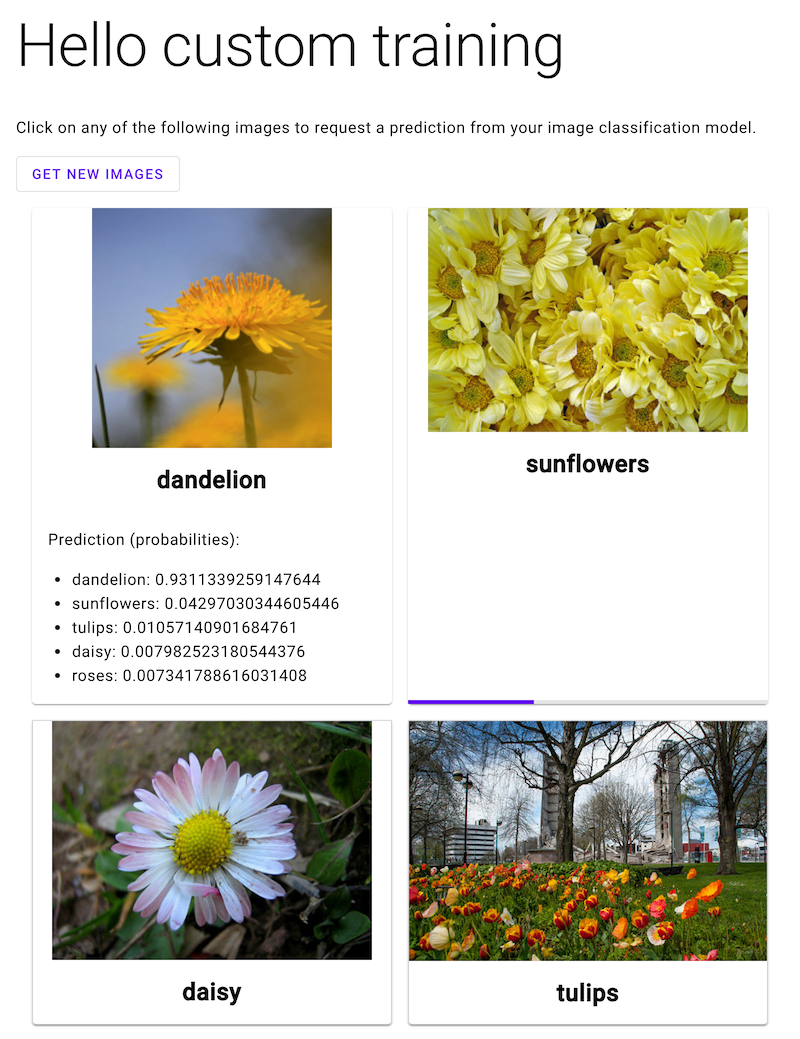 App web con quattro immagini etichettate di fiori. Una ha le probabilità delle
etichette previste sotto. Un altro ha una barra di caricamento sotto.