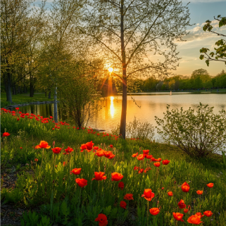 exemple d&#39;image photoréaliste 3