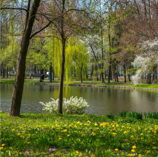 Fotorealistisches Beispielbild 1