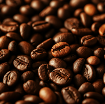 imagen de muestra de la cámara en primer plano