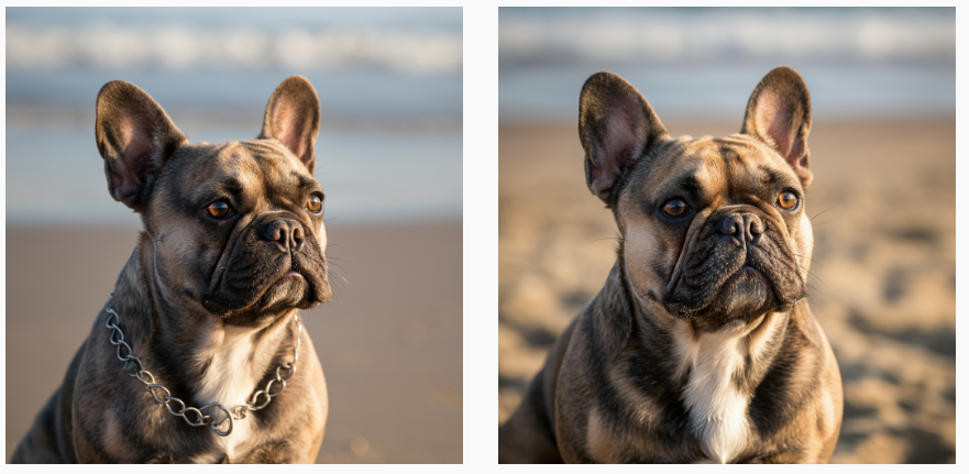 コンソールで生成されたサンプル画像