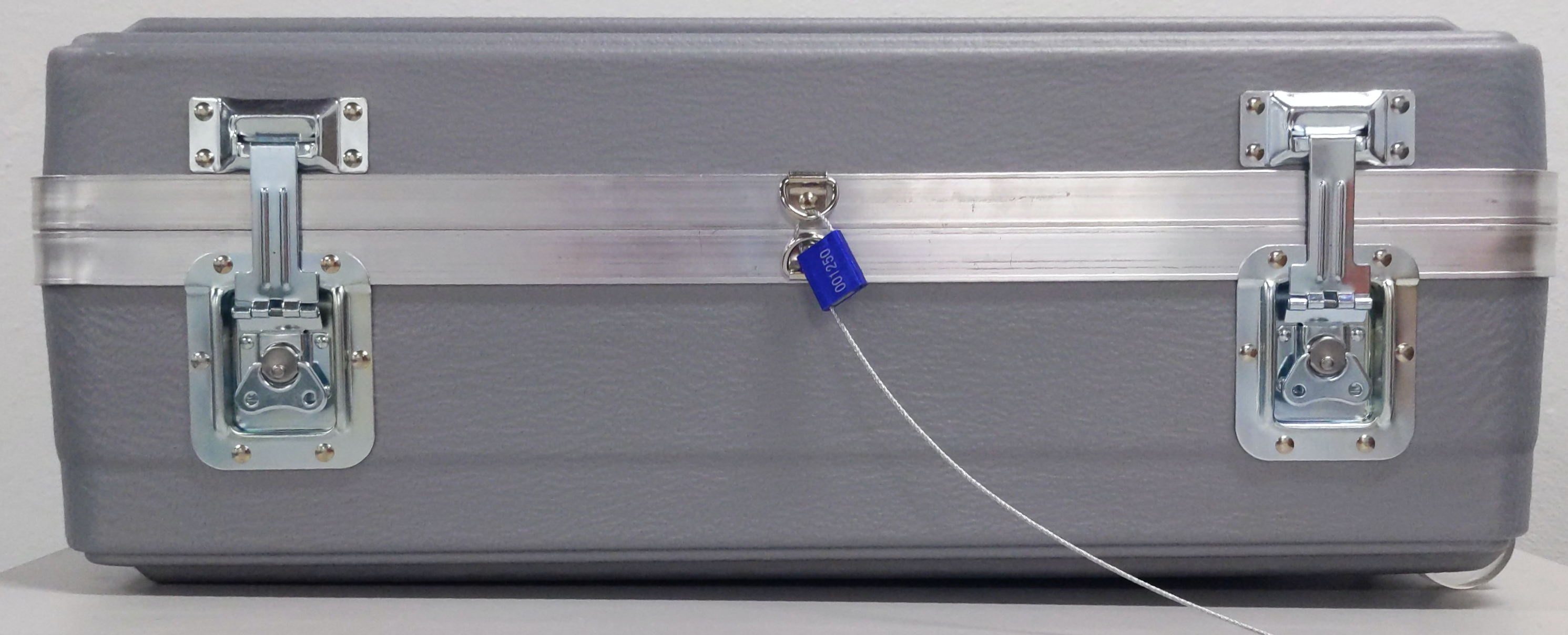 Anelli a D fissati con un'etichetta antimanomissione